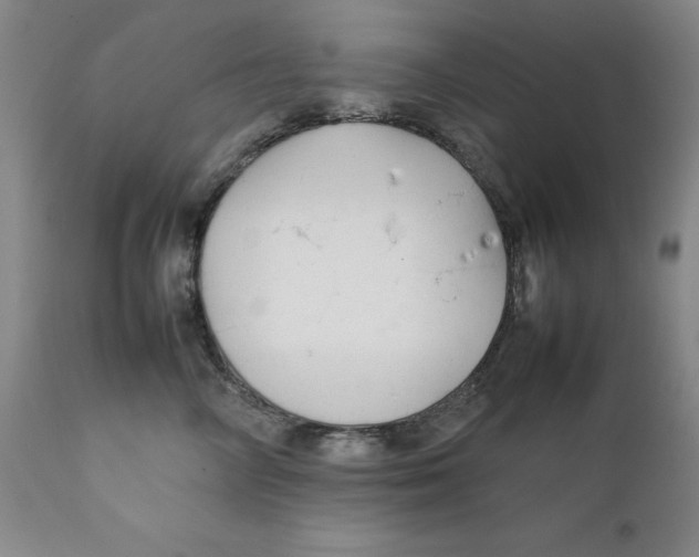 X0000111230714200907231504