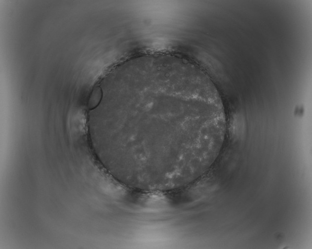 X0000111230715200907231504