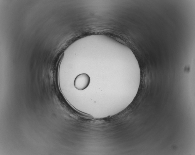 X0000111230716200907231504