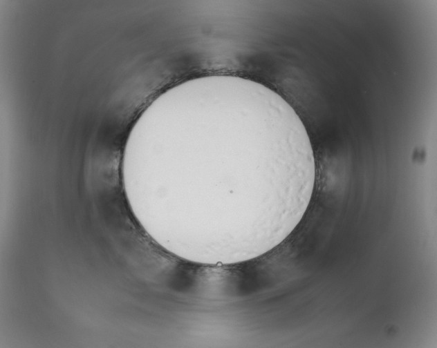 X0000111230717200907231504