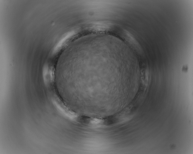 X0000111230718200907231504