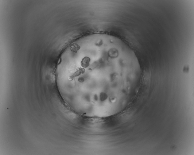 X0000111230719200907231504