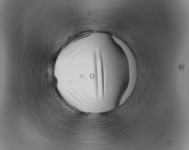 X0000111230720200907231504