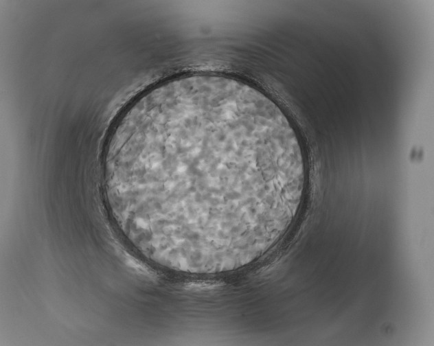 X0000111230721200907231503