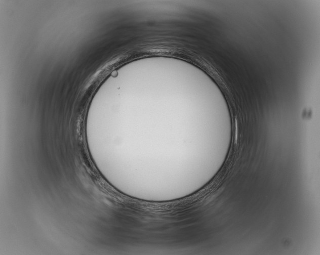 X0000111230723200907231503