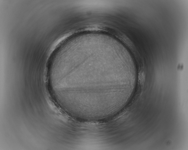 X0000111230724200907231503