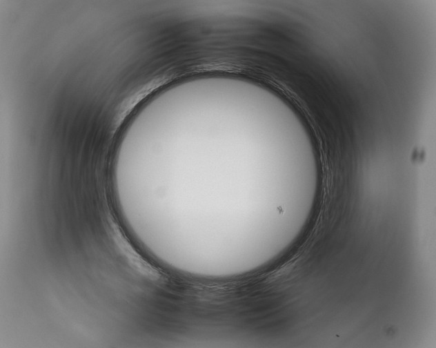 X0000111230725200907231503