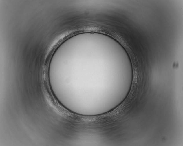 X0000111230726200907231503