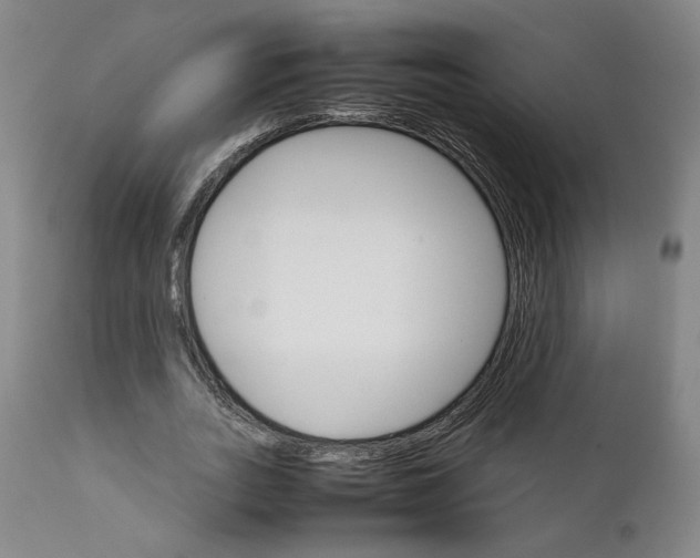 X0000111230727200907231503