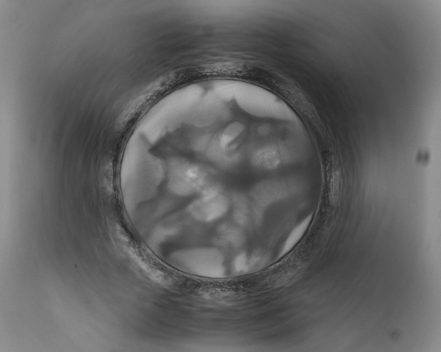 X0000111230729200907231503