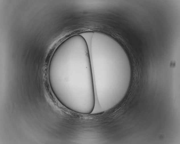 X0000111230730200907231503