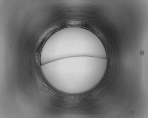 X0000111230731200907231503