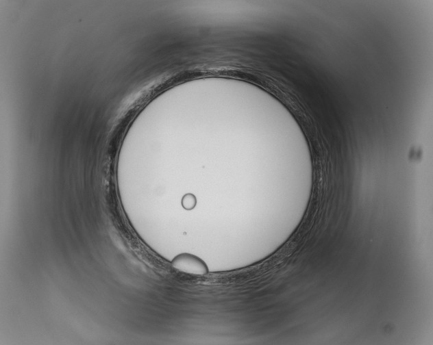 X0000111230732200907231503