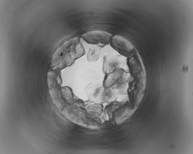 X0000111230733200907231503