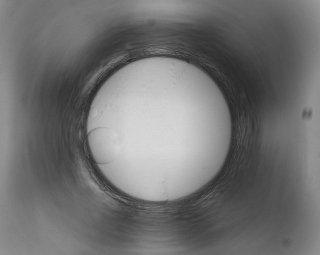 X0000111230734200907231503