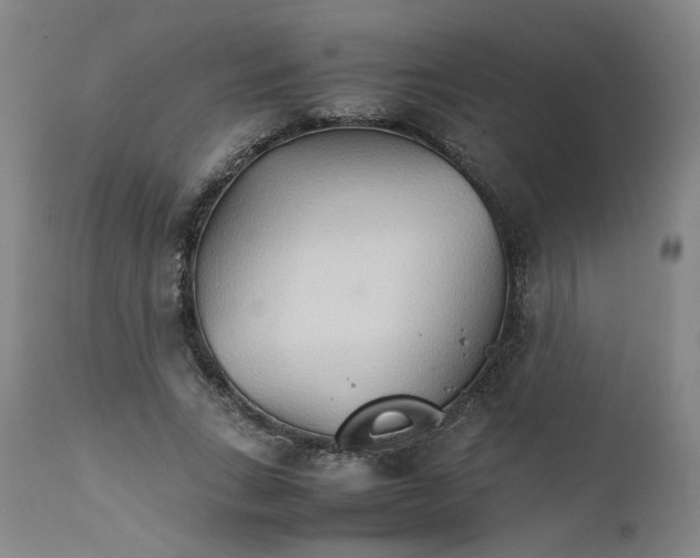 X0000111230735200907231503