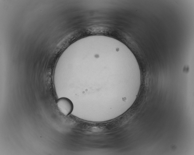 X0000111230737200907231503