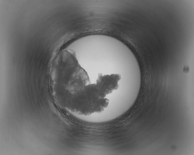 X0000111230738200907231503