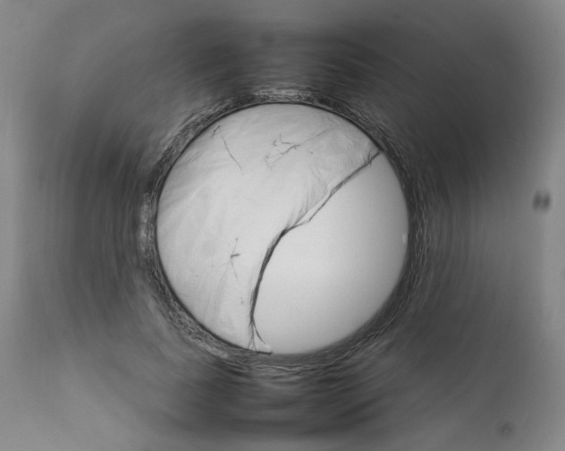 X0000111230739200907231503