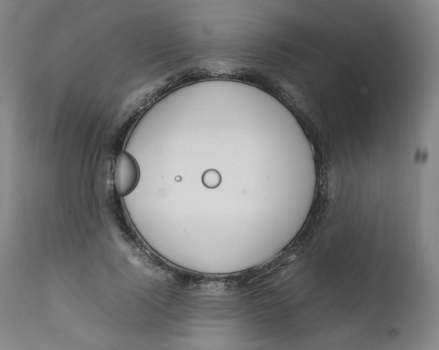 X0000111230740200907231503