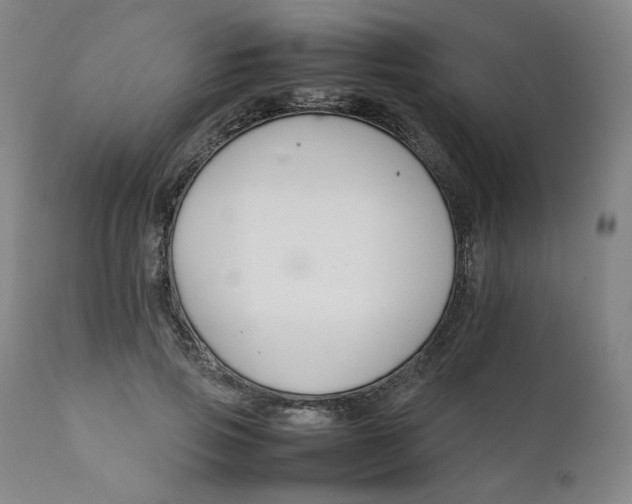 X0000111230741200907231503