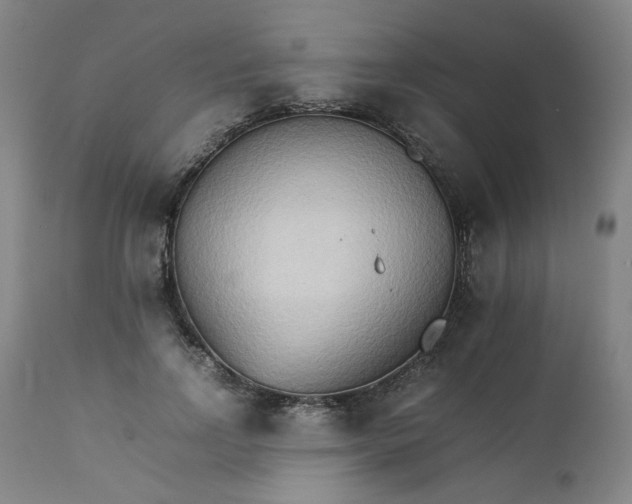 X0000111230742200907231504