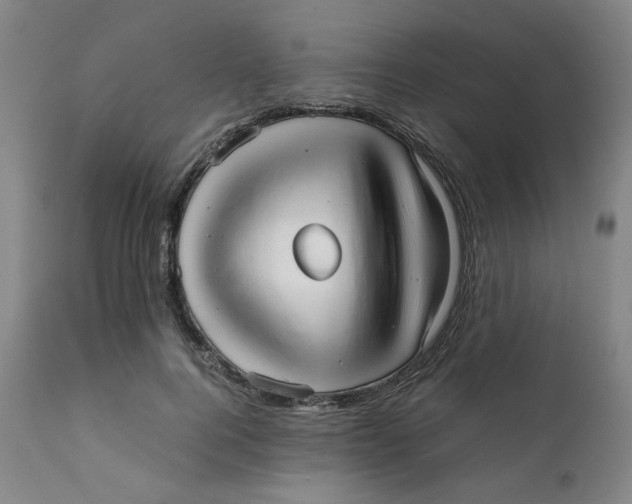 X0000111230744200907231504