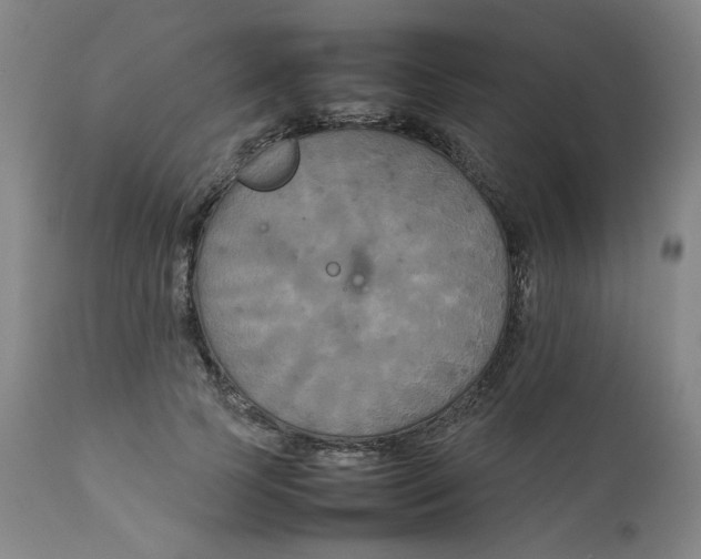 X0000111230745200907231504