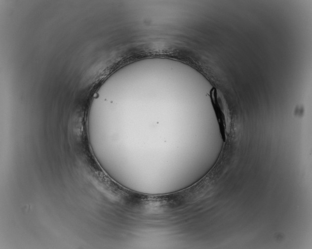 X0000111230746200907231504