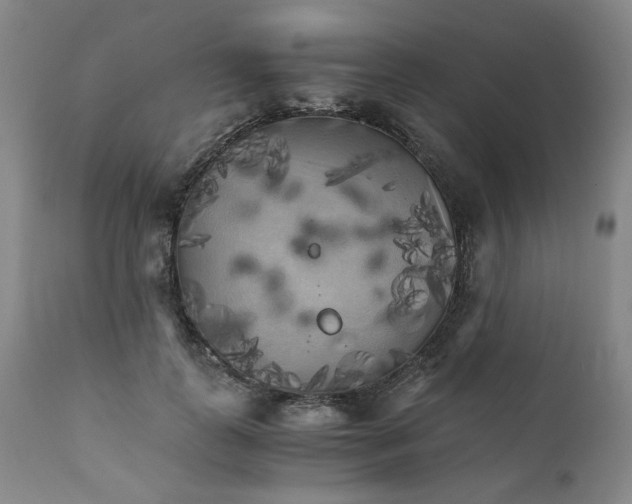 X0000111230747200907231504