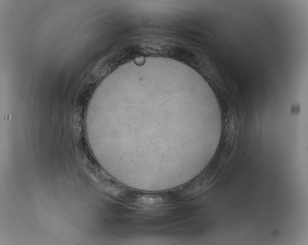 X0000111230749200907231504