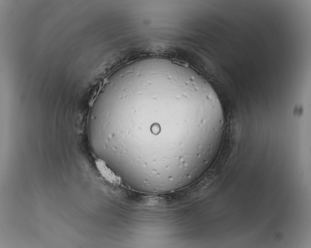 X0000111230750200907231504