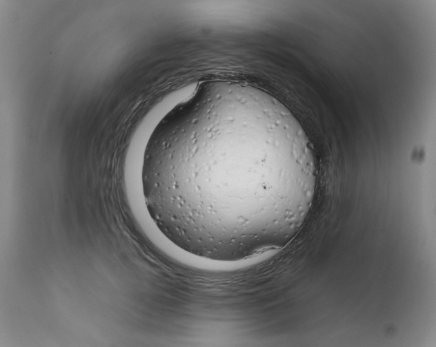 X0000111230752200907231504