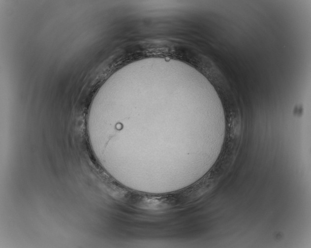 X0000111230753200907231504