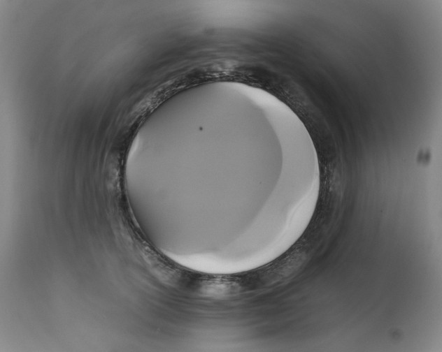 X0000111230754200907231504