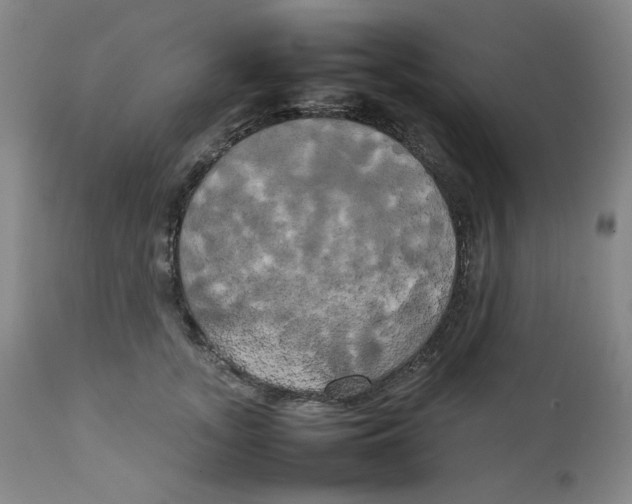 X0000111230755200907231504