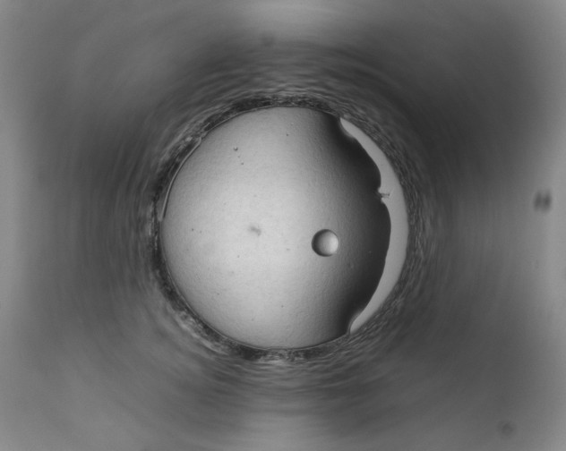 X0000111230756200907231504