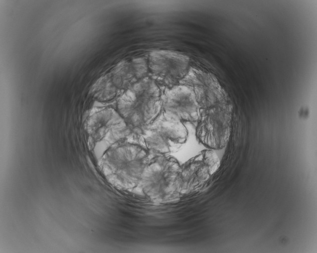 X0000111230757200907231504