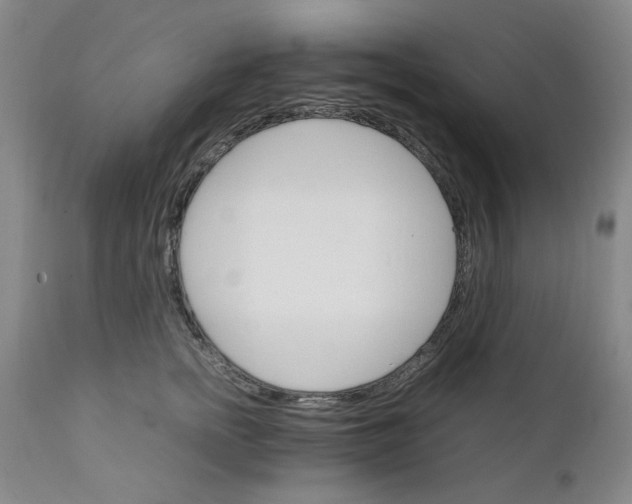 X0000111230758200907231504