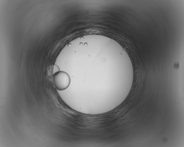 X0000111230759200907231504