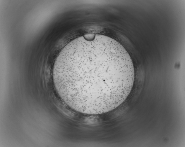 X0000111230761200907231504