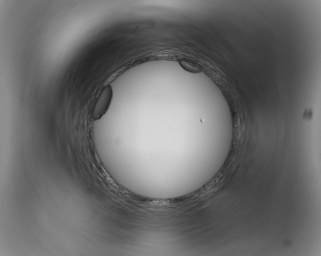 X0000111230762200907231504