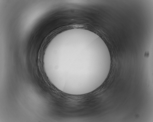 X0000111230763200907231504