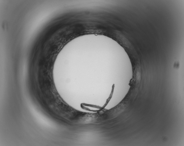 X0000111230764200907231504