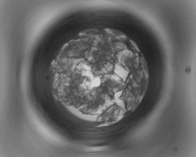 X0000111230765200907231504