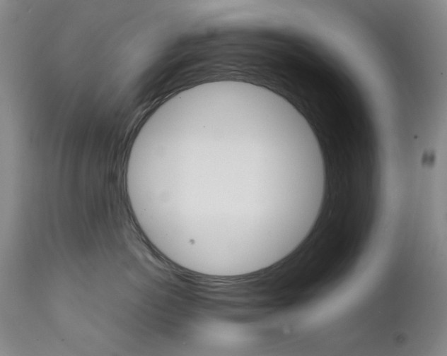 X0000111230766200907231504