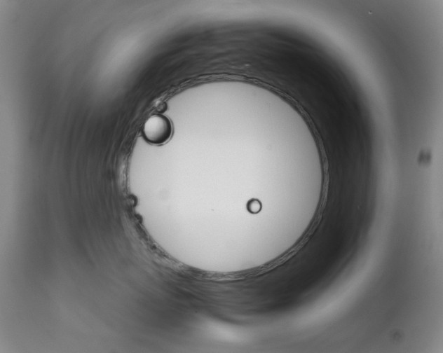 X0000111230767200907231504