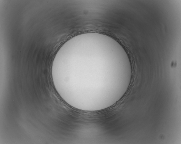 X0000111230768200907231504