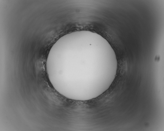 X0000111230770200907231503