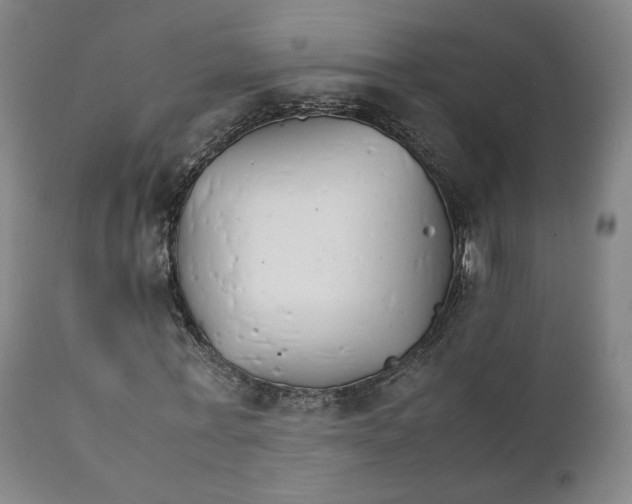 X0000111230771200907231503